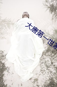 大唐第一世家