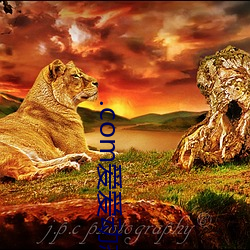 .com爱爱(愛)动(動)态图(圖)