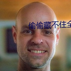 偷偷藏不住全文免费