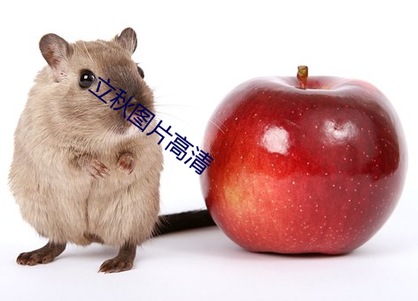 立秋图片(piàn)高清