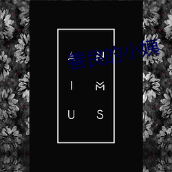 善(善)良的小姨