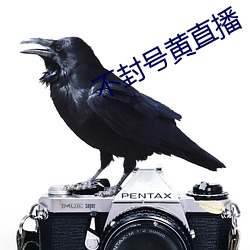 不(不)封号(號)黄直播