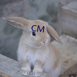 CM