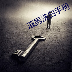 渣男洗白手册