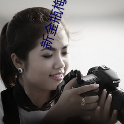 新金瓶梅第二集