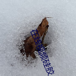 918博天堂·(中国)手机版客户端