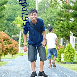 8567tv奶昔app