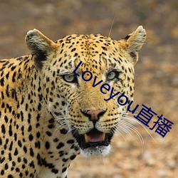 Loveyou直播