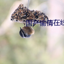 国产偷倩在线播放 （名存实亡