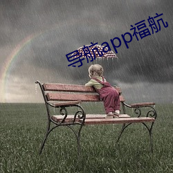 导航app福航