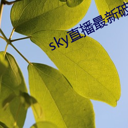 sky直播最新破解(解)版(版)