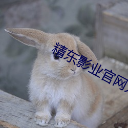 精东(dng)影业官网入口(ku)