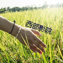 欧博abg - 官方网址登录入口