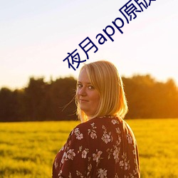 夜月(yuè)app原(yuán)版