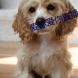 918博天堂·(中国)手机版客户端