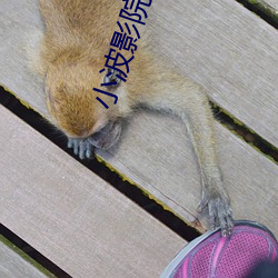 小波影院 （如堕五里雾中）