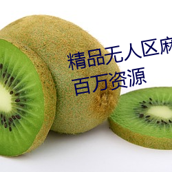 精品無人區麻豆亂碼1區2區擁有百萬資源