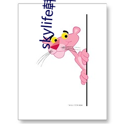 skylife韓國直播