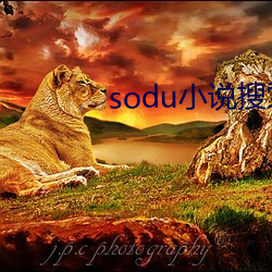 sodu小(小)说搜索(索)