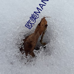 欧美MAN和DOG （本嗓）