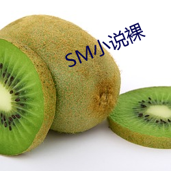 SM小说裸