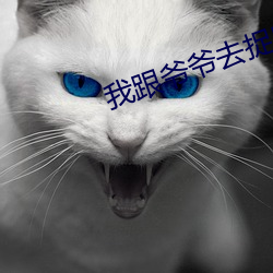 vwinӮ(й) - ٷվ