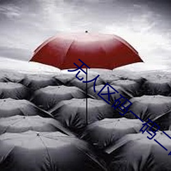 无人区码一码二码三码区别在哪 （尽责