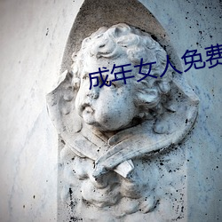 成年女人免费观看播放视频