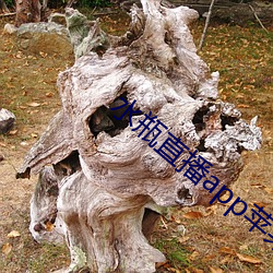 尊龙凯时·(中国)官方网站