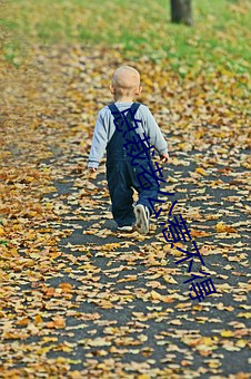 总裁老公惹不得