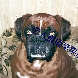 AG真人平台(中国)官方网站