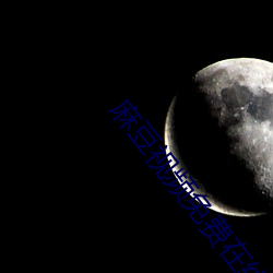 麻豆視頻免費在線觀看