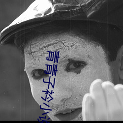 青(qīng)青子衿小说