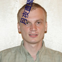 月夜直播视频免费观看TV