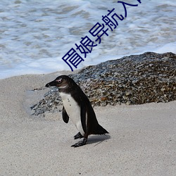 眉娘异航入口
