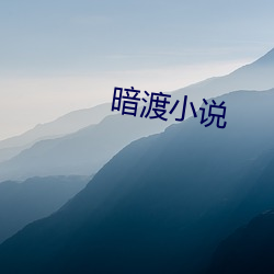 暗渡小说