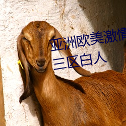 亚洲欧美激情综合精品一区二区三区白人