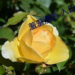 羞羞漫画 入口(kǒu)