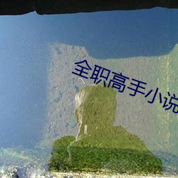 全职高(g¨¡o)手小(xi¨£o)说(shu¨)