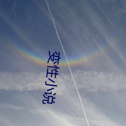变(變)性(性)小(小)说