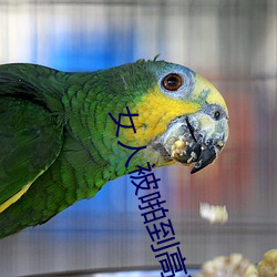 Ů˱ž(ž)()ȳ鴤()Ϊ()ʲô Ů(Ů)˱ž(ž)ȳ()ǲ()