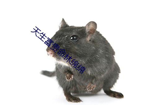 天生富贵(貴)命(命)林绵绵