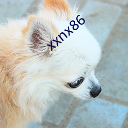 xxnx86