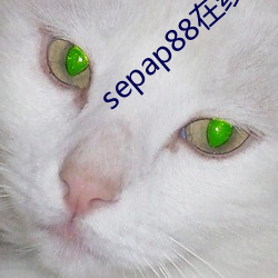 sepap88ھ觀看視頻