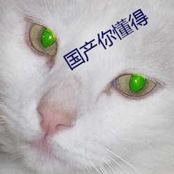 国产你懂得(dé)