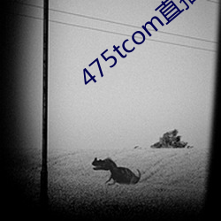 ca88手机客户端(安卓/苹果)CA88会员登录入口