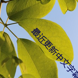 最近更新中文字幕2023图片