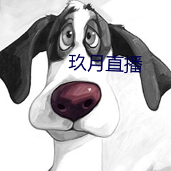 玖月直播