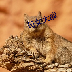 母女大战