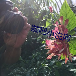 賊吧小說網